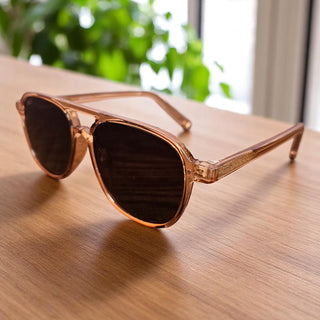 Briggs in Clear Sunglasses