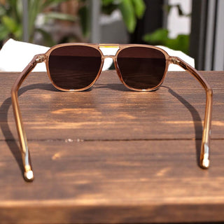 Briggs in Clear Sunglasses