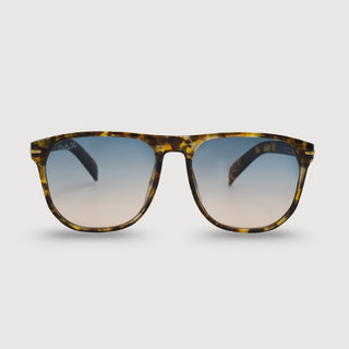 Jax in Brown Sunglasses