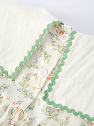 Vintage Duck Dress