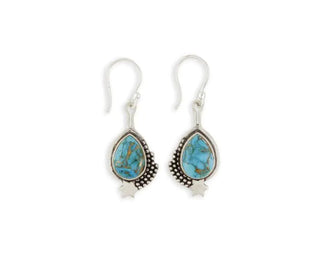 Star Shine Earrings