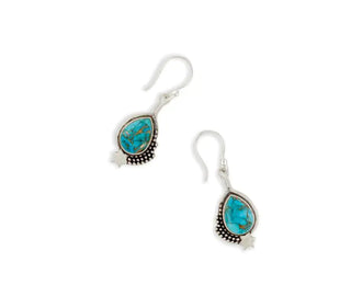 Star Shine Earrings